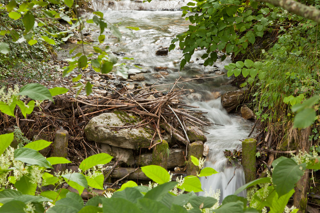 The river behind the apartment